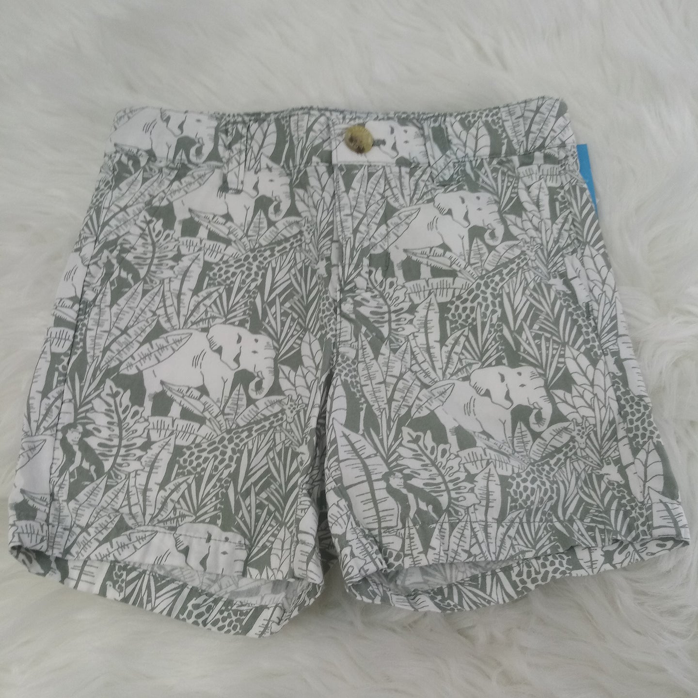 Shorts by Janie & Jack Size 2T