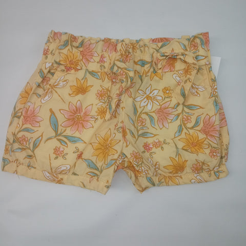 Pull on Shorts by Carters     Size 3T