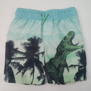 Swim Shorts by Oshkosh       Size 5