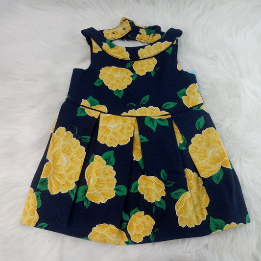 Short Sleeve Dress   by Janie & Jack     Size 12-18m